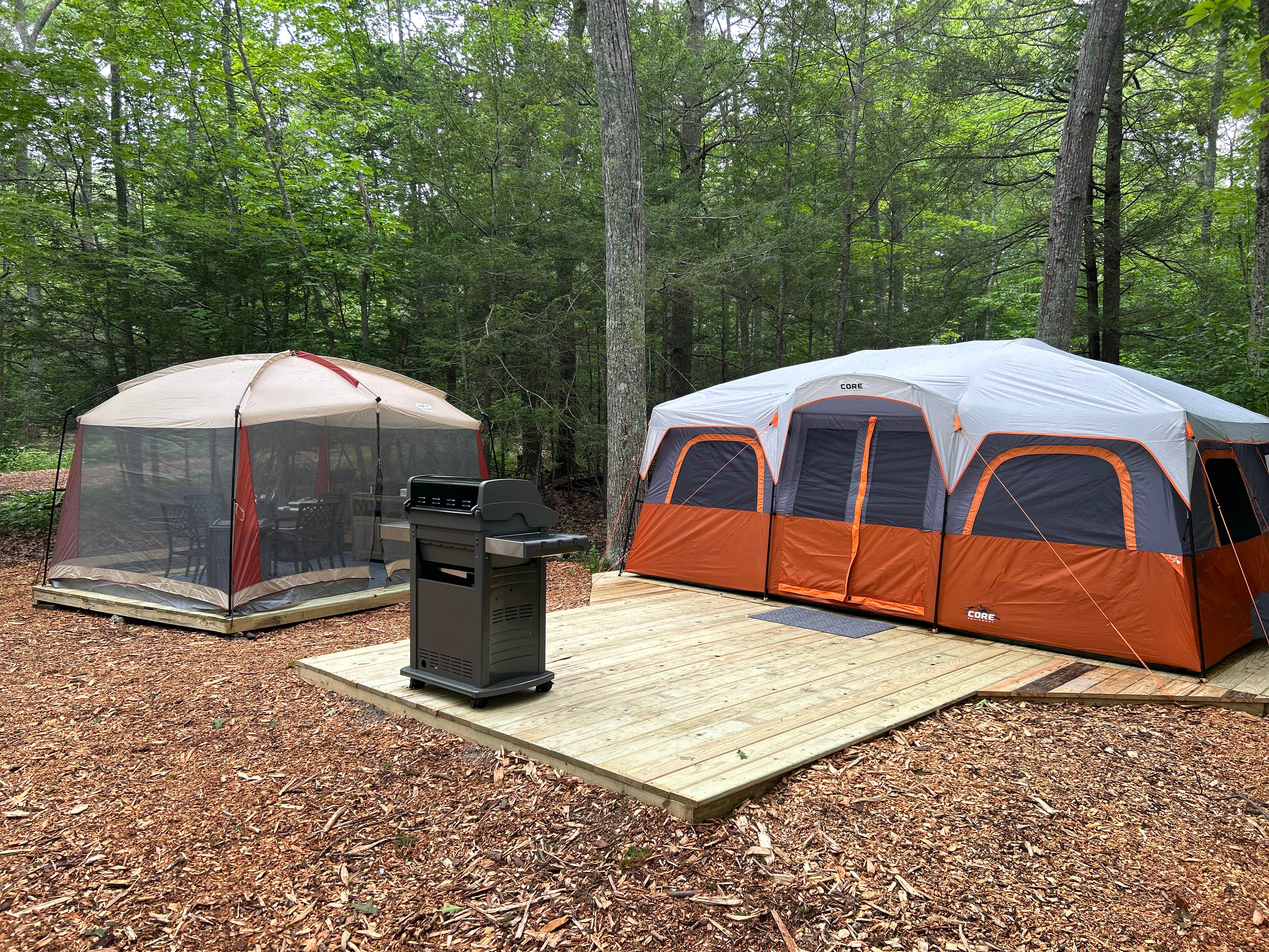 Tyra P.'s photo at Wolfe's Neck Ocean Front Camping near Cumberland Center, ME