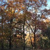 Review photo of Eisenhower State Park Campground by Crystal C., November 21, 2018