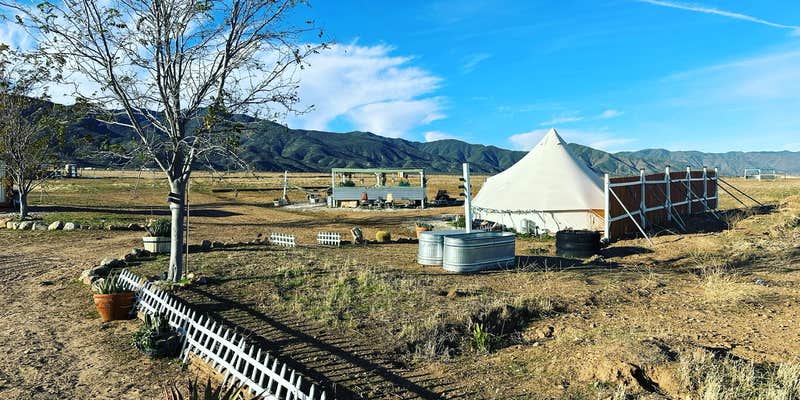 Camper submitted image from Cuyama Oaks Ranch