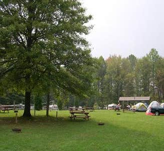 Camper-submitted photo from Country Acres Campground
