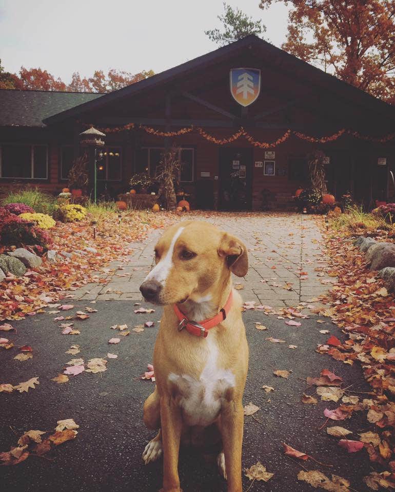 Camper-submitted photo at Timber Ridge RV & Recreation Resort near South Boardman, MI