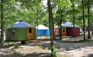 meranda L.'s photo at Timber Ridge RV & Recreation Resort near Williamsburg, MI