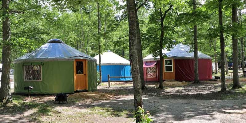 Camper submitted image from Timber Ridge RV & Recreation Resort