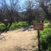 Review photo of Catalina State Park Campground by Bill R., February 16, 2024