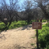 Review photo of Catalina State Park by Bill R., February 16, 2024
