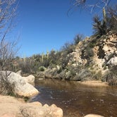 Review photo of Catalina State Park Campground by Bill R., February 16, 2024
