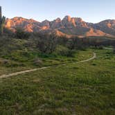 Review photo of Catalina State Park Campground by Bill R., February 16, 2024