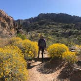 Review photo of Catalina State Park Campground by Bill R., February 16, 2024