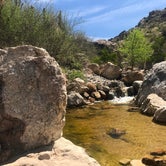 Review photo of Catalina State Park Campground by Bill R., February 16, 2024