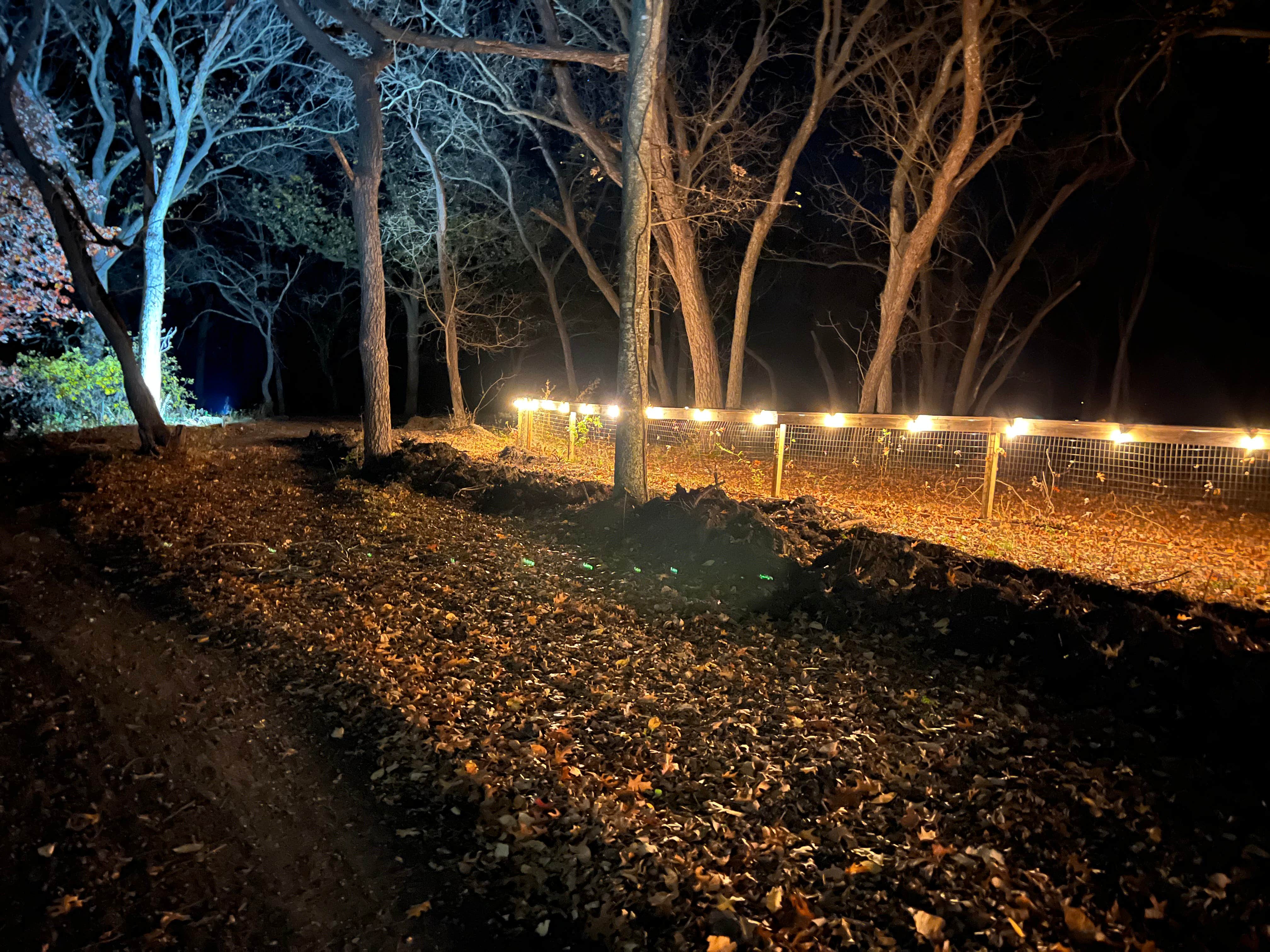 Camper-submitted photo at City Limits RV Resort near Hillsboro, TX