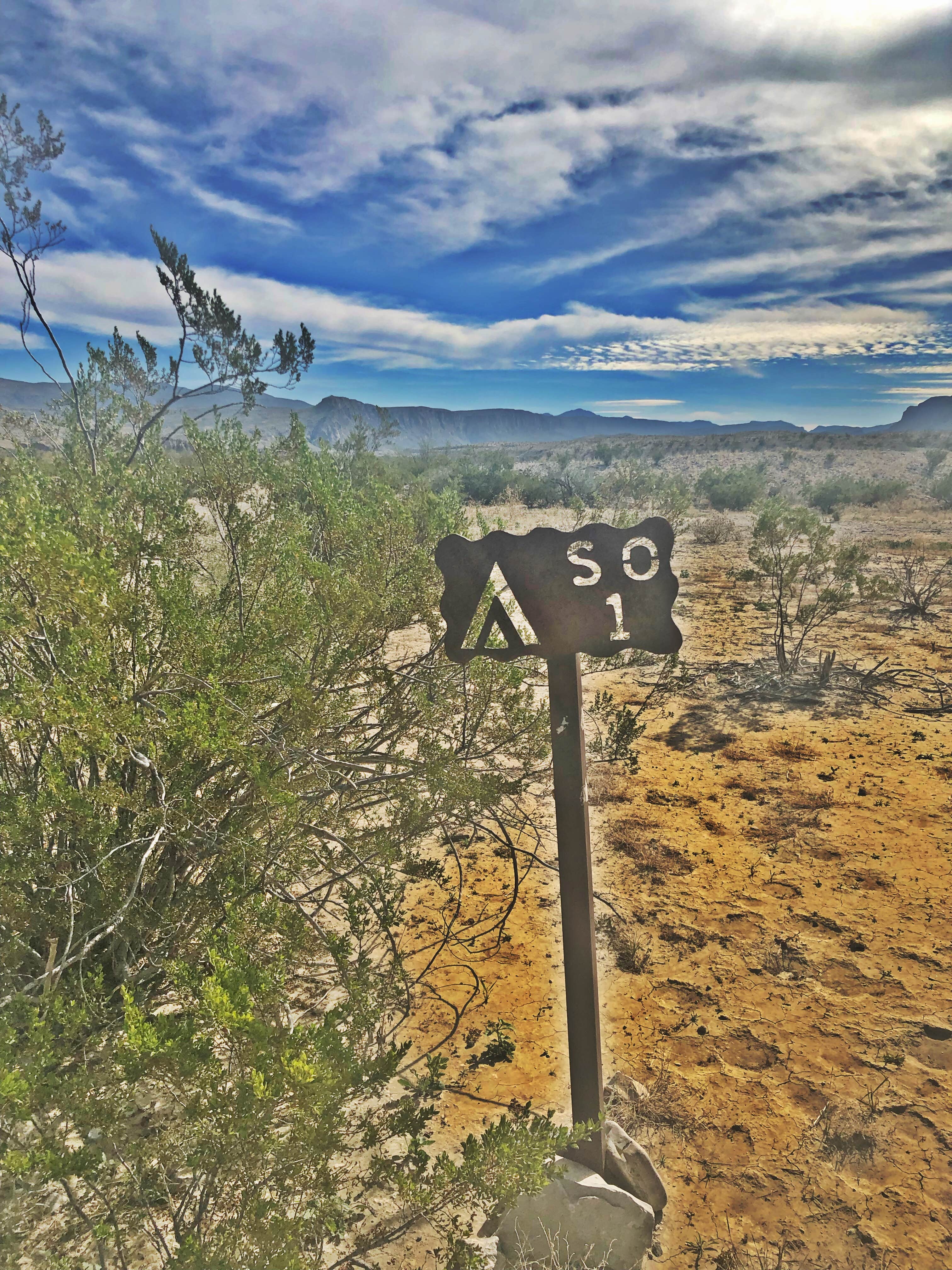 Camper submitted image from Rio Grande Village Campground — Big Bend National Park - 4
