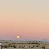 Review photo of Assateague State Park Campground by Sharon L., February 18, 2024