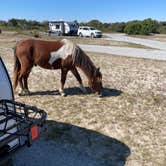 Review photo of Assateague State Park Campground by Sharon L., February 18, 2024