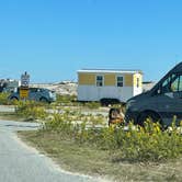 Review photo of Assateague State Park Campground by Sharon L., February 18, 2024