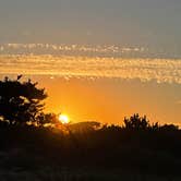 Review photo of Assateague State Park Campground by Sharon L., February 18, 2024