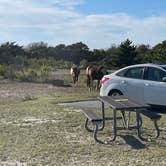 Review photo of Assateague State Park Campground by Sharon L., February 18, 2024