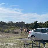 Review photo of Assateague State Park Campground by Sharon L., February 18, 2024