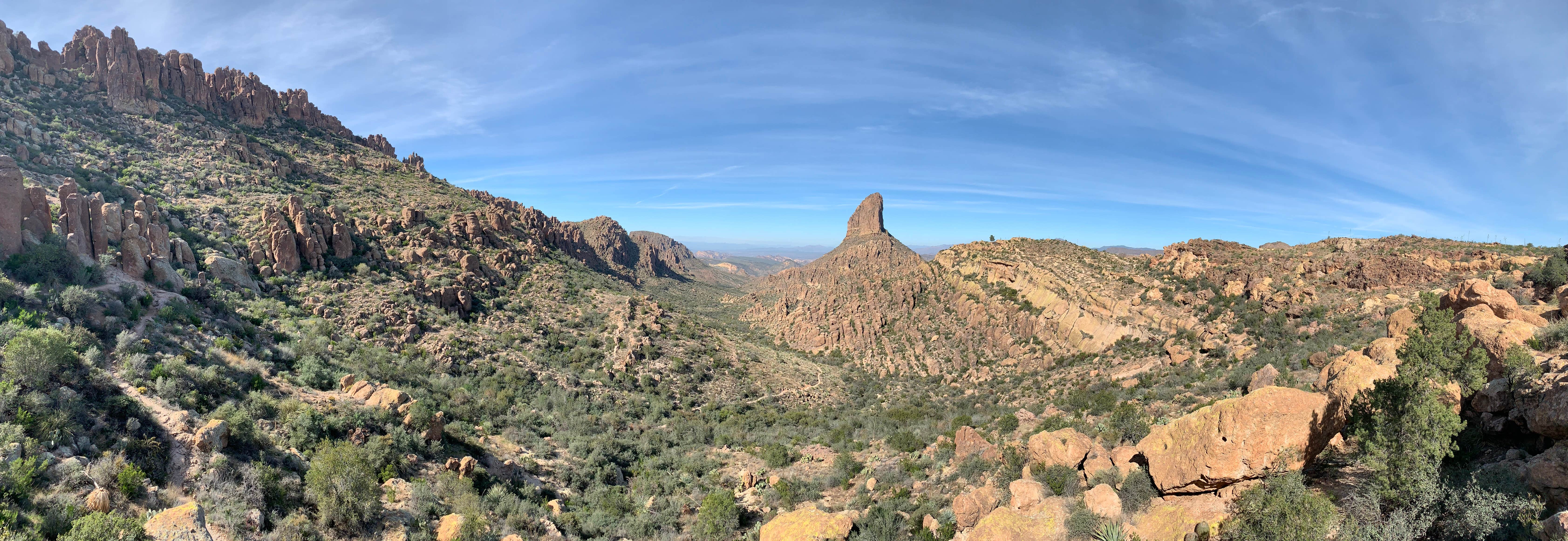 View of Weaver's Needle from Freemont Saddle