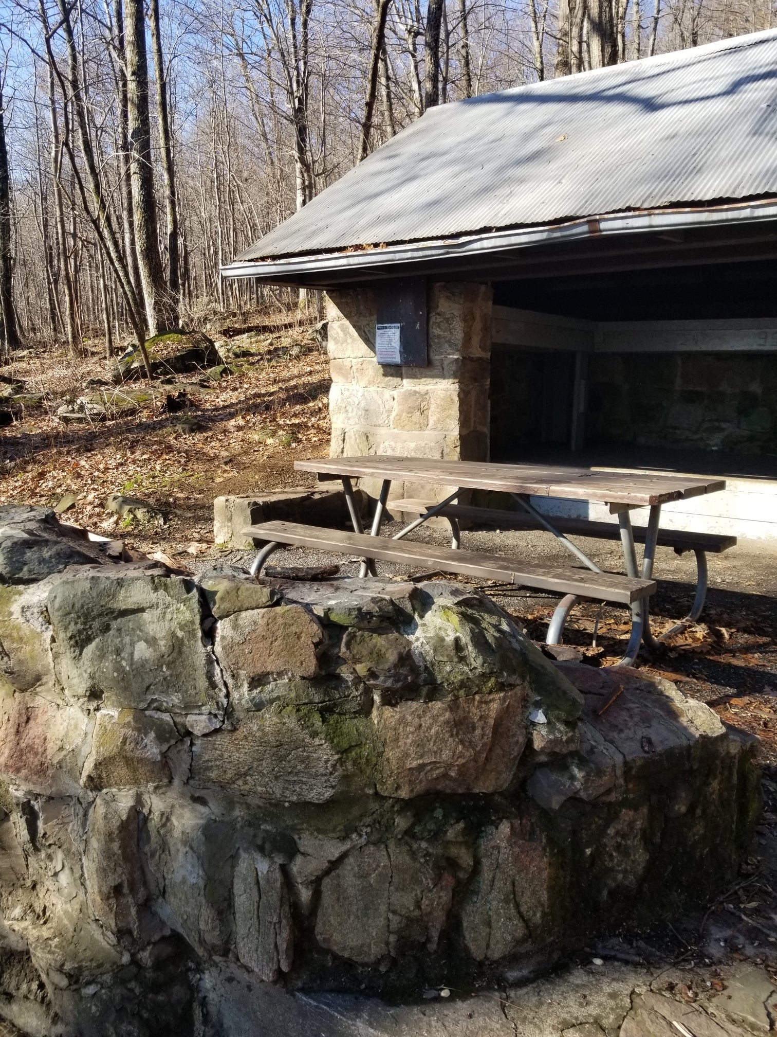 Camper submitted image from Gravel Springs Hut — Shenandoah National Park - 5