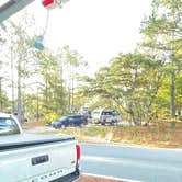 Review photo of Cape Henlopen State Park Campground by Sharon L., February 19, 2024