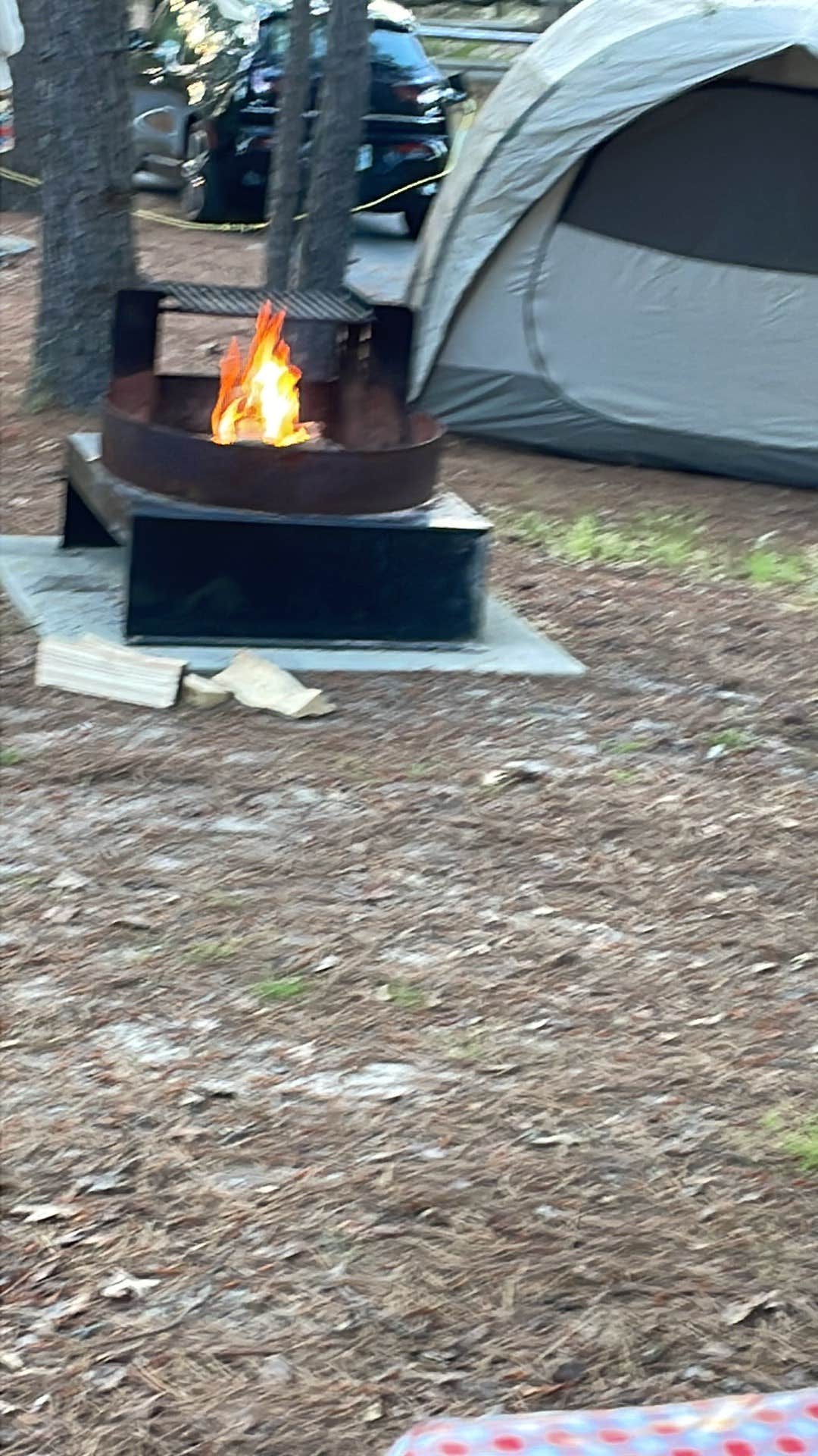 Sharon L.'s photo at Cape Henlopen State Park Campground near Georgetown, DE