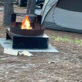 Review photo of Cape Henlopen State Park Campground by Sharon L., February 19, 2024