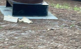 Sharon L.'s photo at Cape Henlopen State Park Campground near Wildwood, NJ