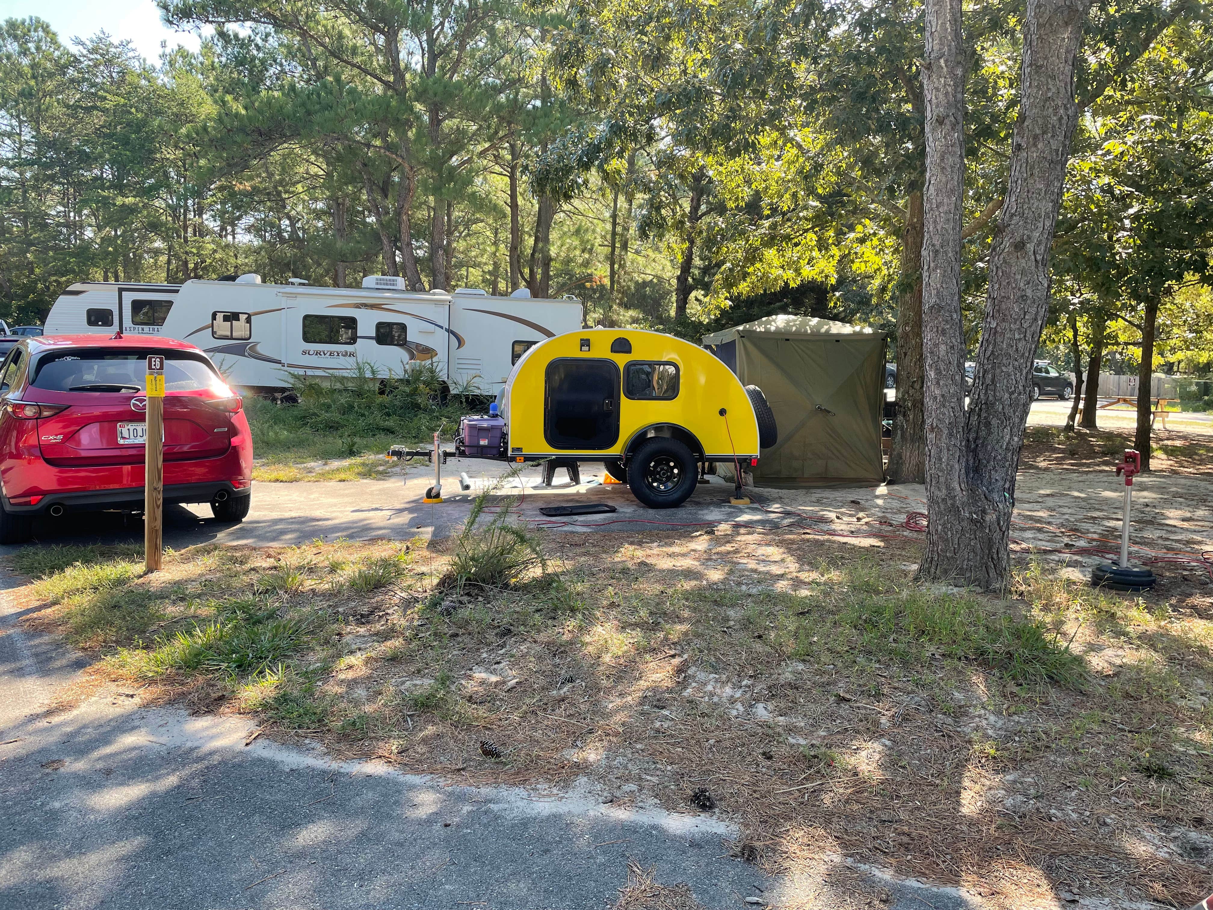 Sharon L.'s photo at Cape Henlopen State Park Campground near Milford, DE