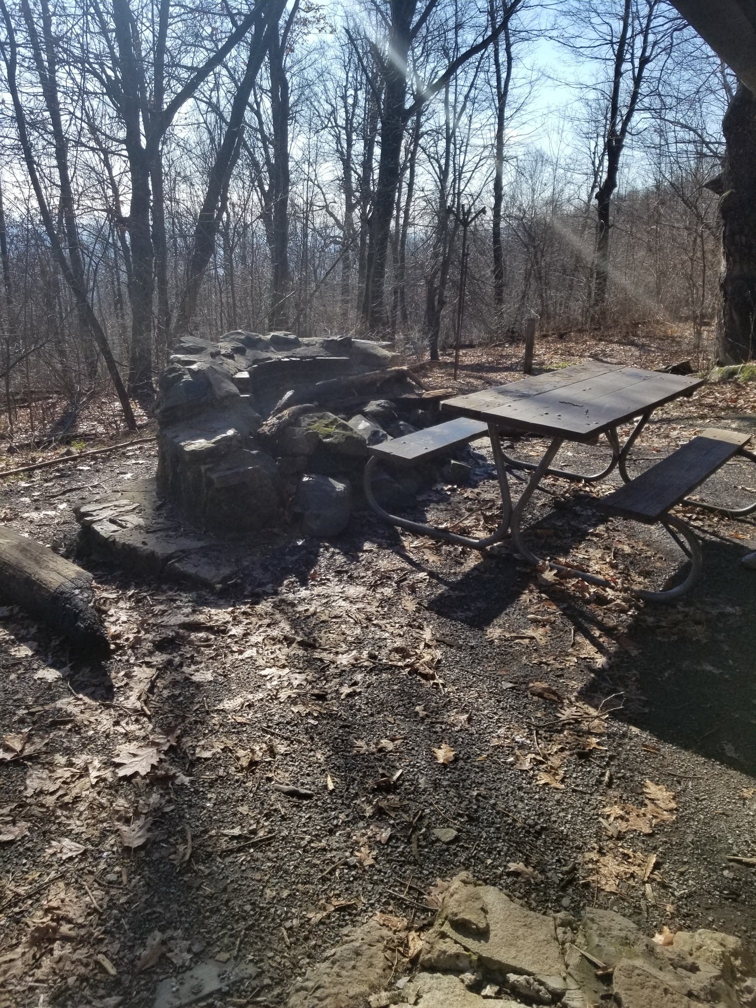Camper submitted image from Gravel Springs Hut — Shenandoah National Park - 2