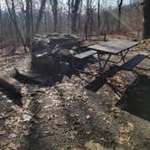 Review photo of Gravel Springs Hut — Shenandoah National Park by Mara F., November 28, 2018