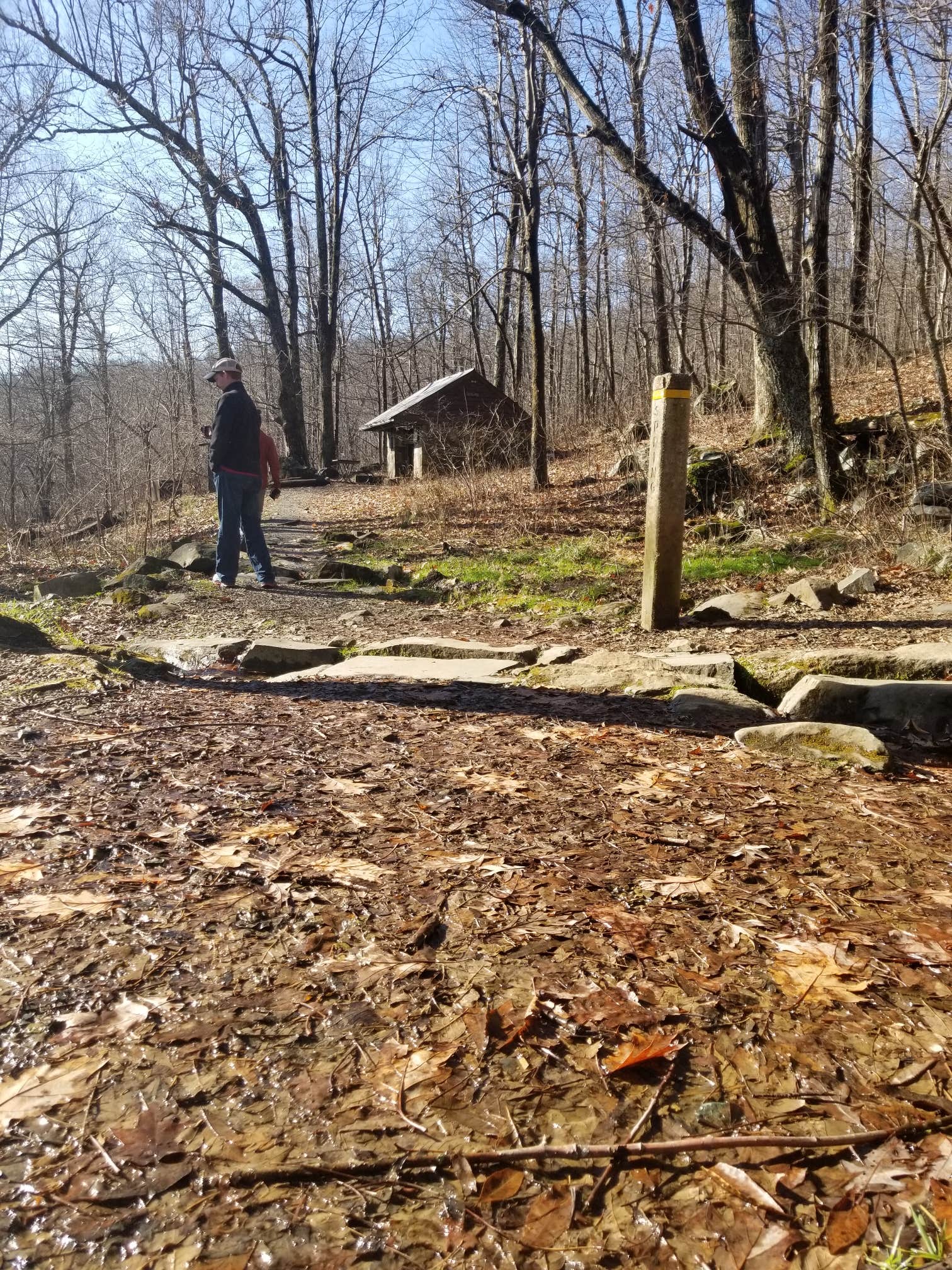 Camper submitted image from Gravel Springs Hut — Shenandoah National Park - 5
