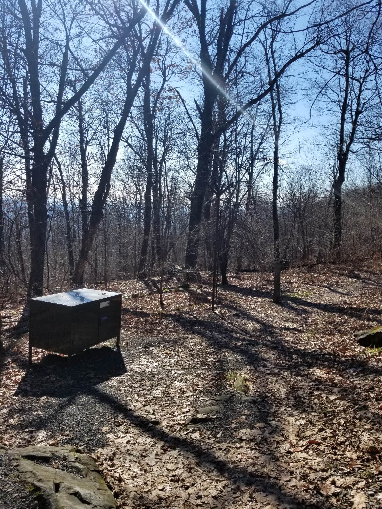 Gravel Springs Hut — Shenandoah National Park