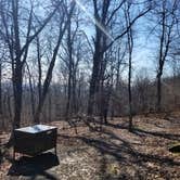 Review photo of Gravel Springs Hut — Shenandoah National Park by Mara F., November 28, 2018