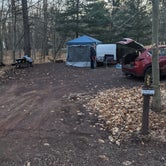 Review photo of Ricketts Glen State Park Campground by Sharon L., February 19, 2024