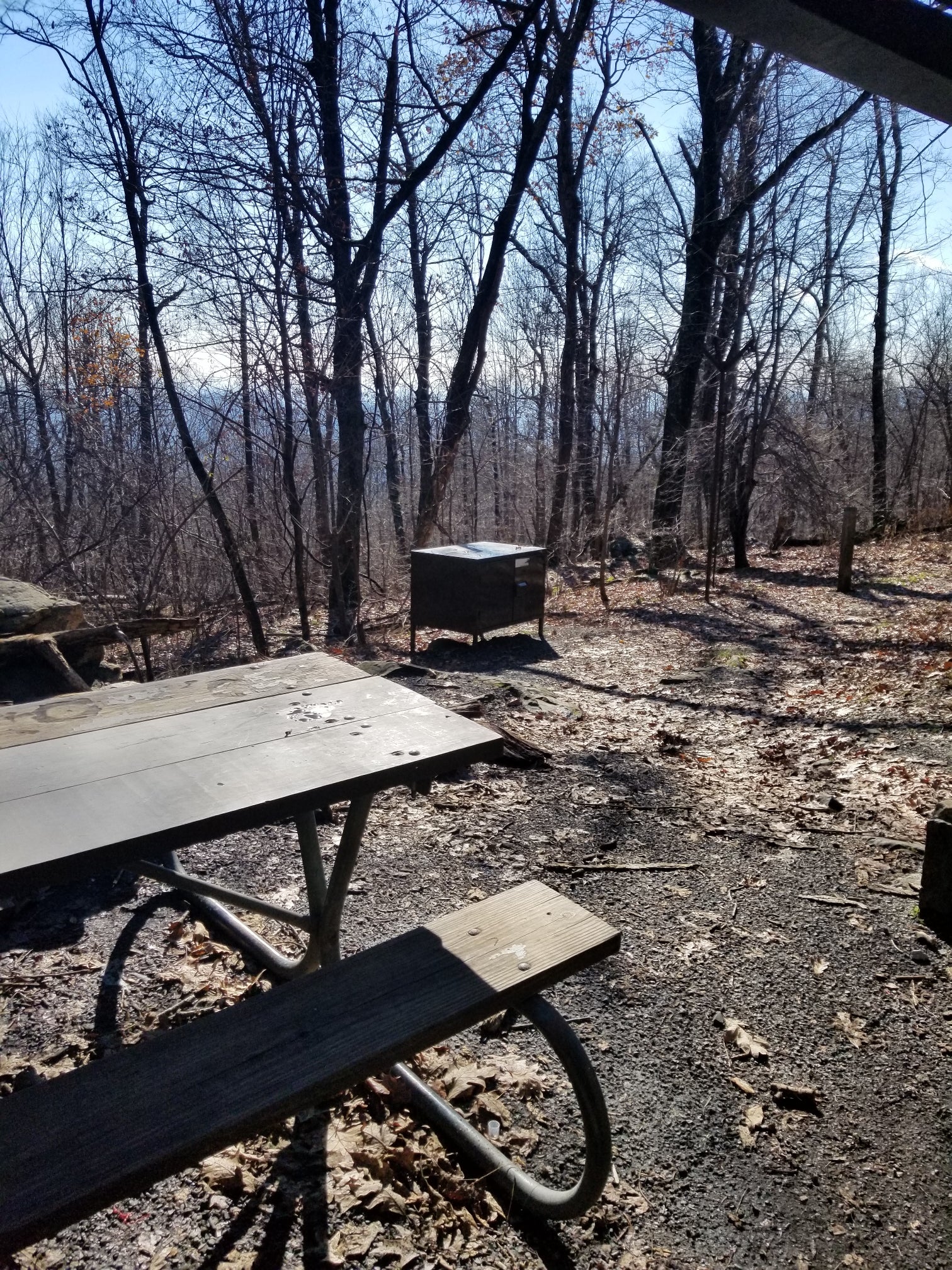 Camper submitted image from Gravel Springs Hut — Shenandoah National Park - 1