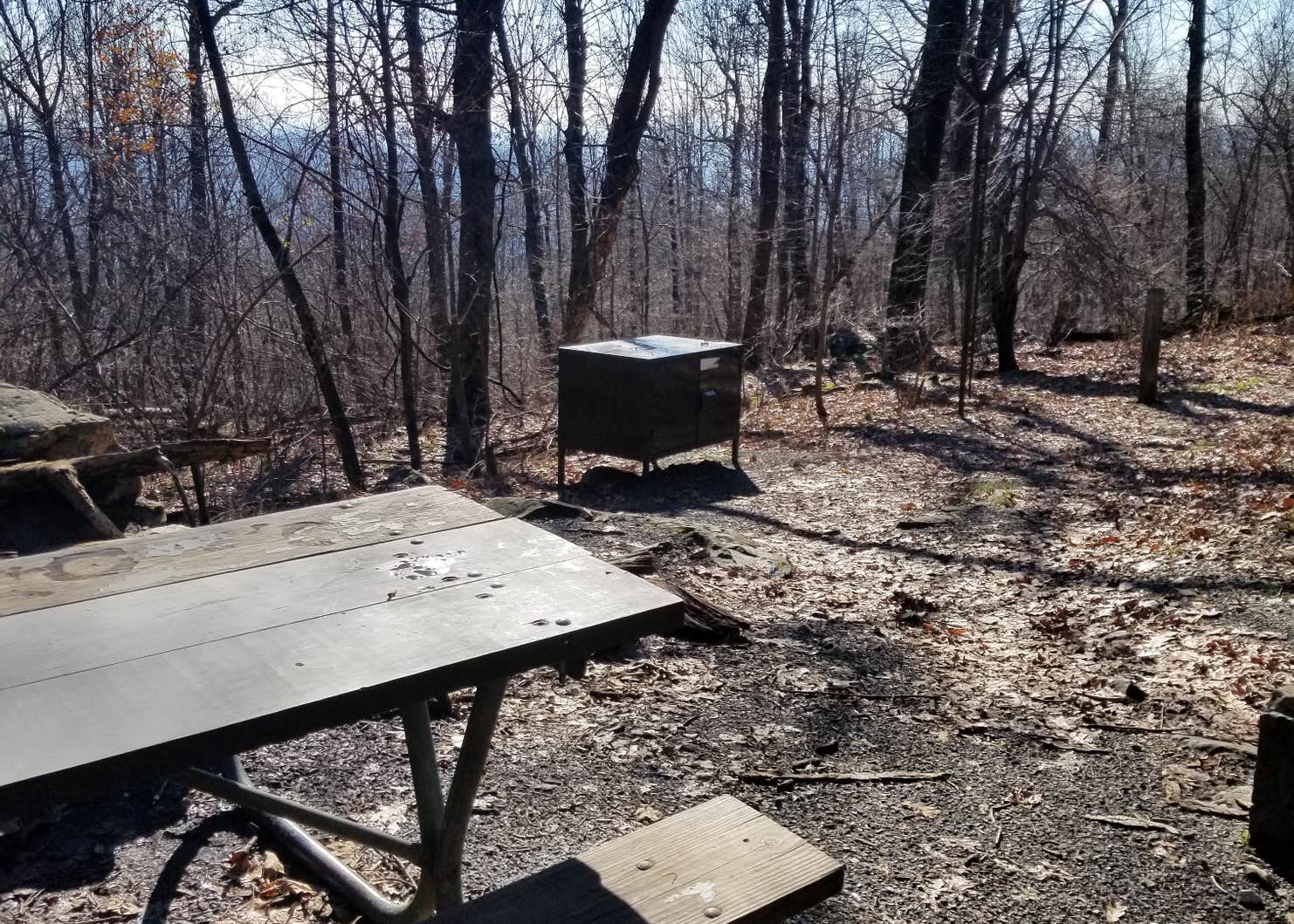 Gravel Springs Hut Camping The Dyrt
