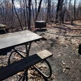 Review photo of Gravel Springs Hut — Shenandoah National Park by Mara F., November 28, 2018