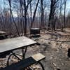 Camper-submitted photo from Gravel Springs Hut — Shenandoah National Park