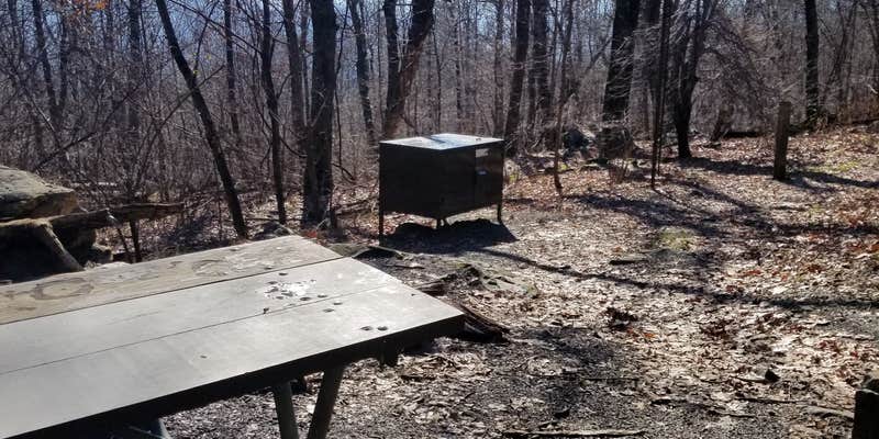 Camper submitted image from Gravel Springs Hut — Shenandoah National Park