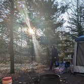 Review photo of Ricketts Glen State Park Campground by Sharon L., February 19, 2024