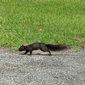 Review photo of Martinak State Park Campground by Sharon L., February 19, 2024