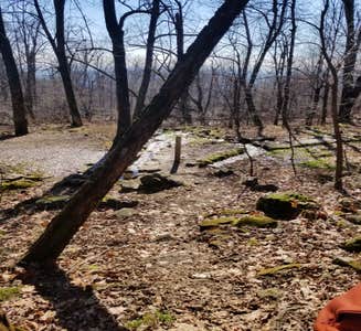 Camper-submitted photo from Gravel Springs Hut — Shenandoah National Park