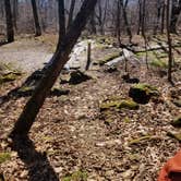 Review photo of Gravel Springs Hut — Shenandoah National Park by Mara F., November 28, 2018