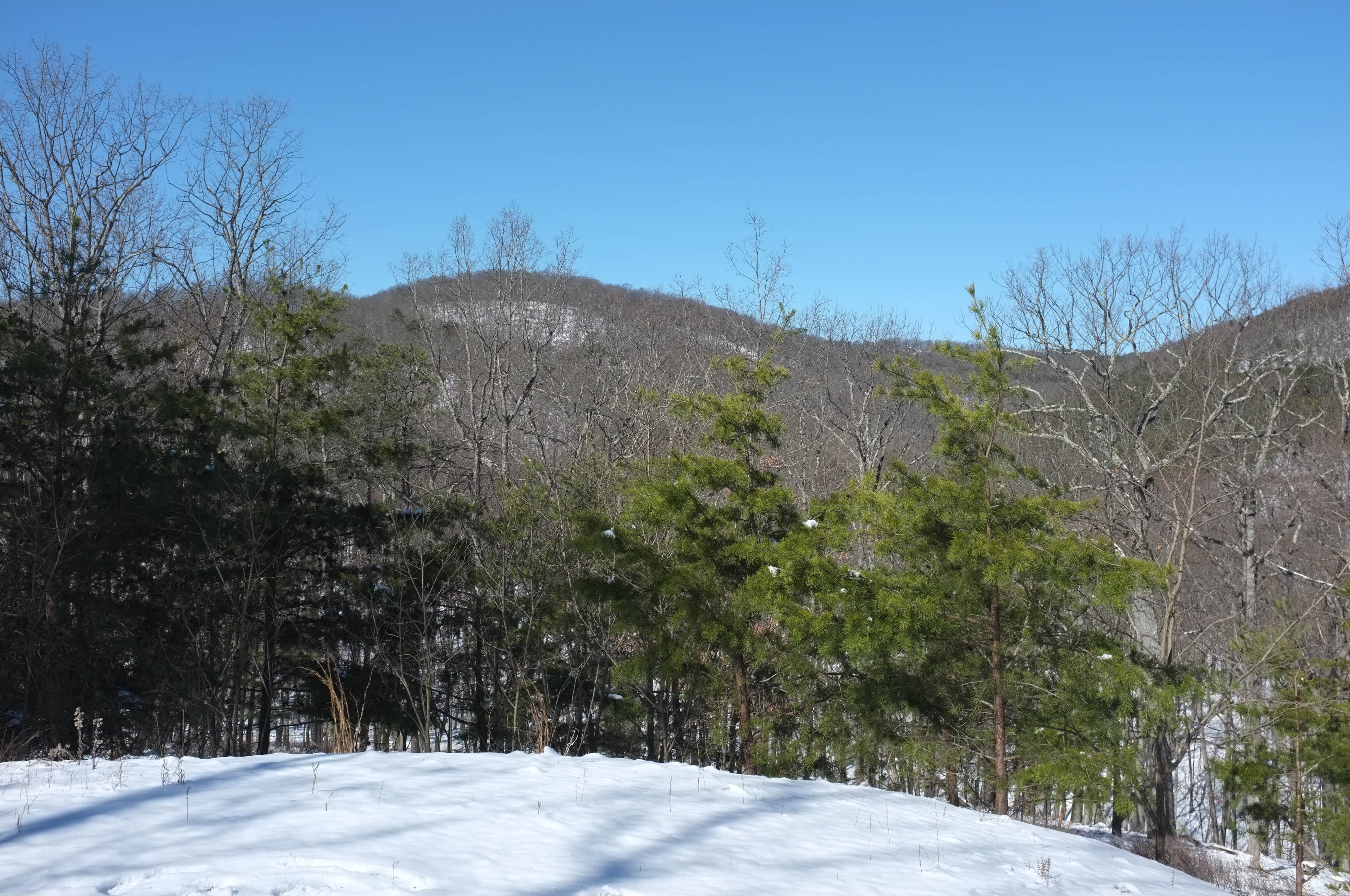 Camper-submitted photo at Great Escape Of Romney, West Virginia near Romney, WV