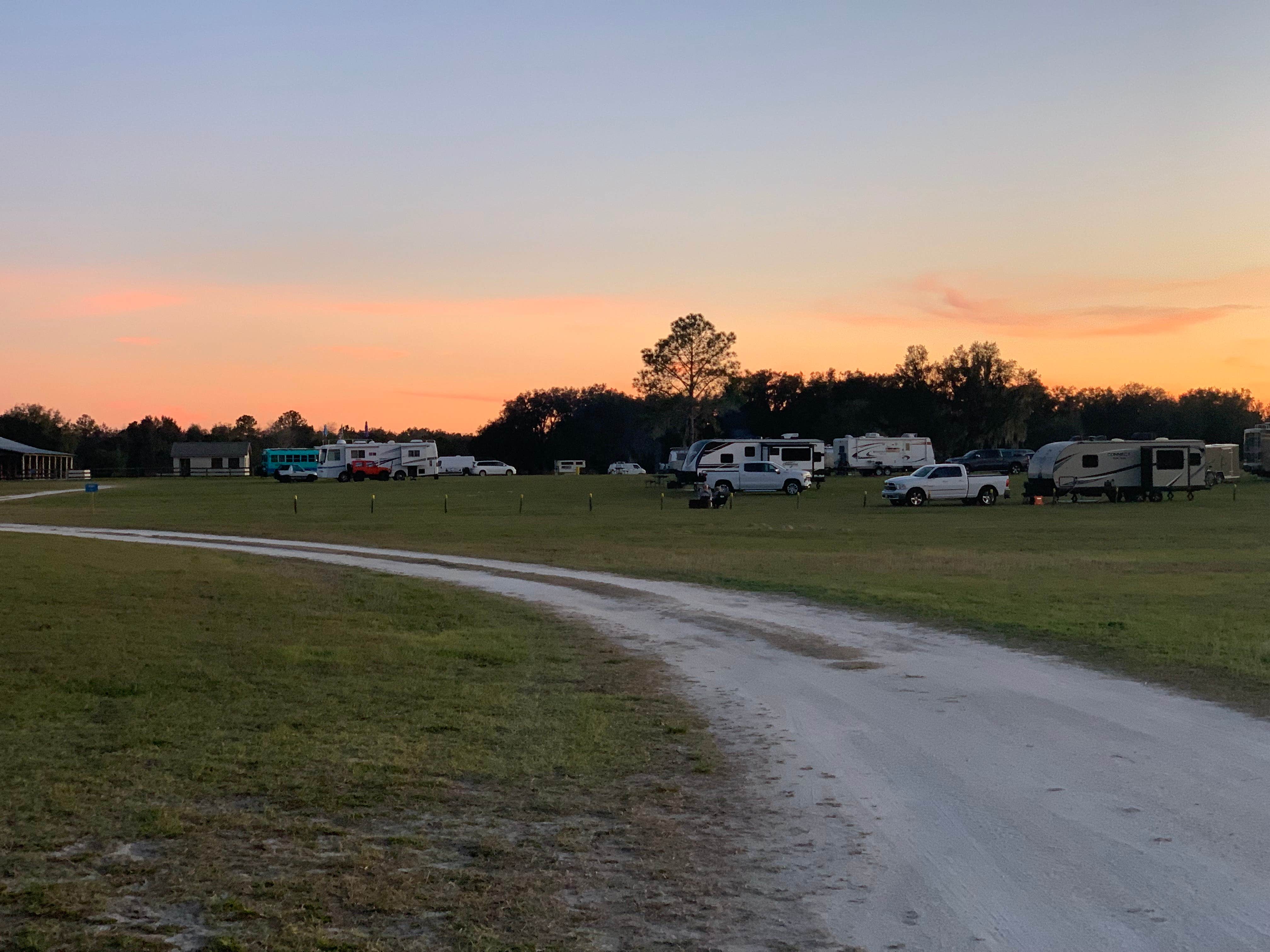 Camper submitted image from Lake Panasoffkee - 4