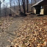 Review photo of Gravel Springs Hut — Shenandoah National Park by Mara F., November 28, 2018