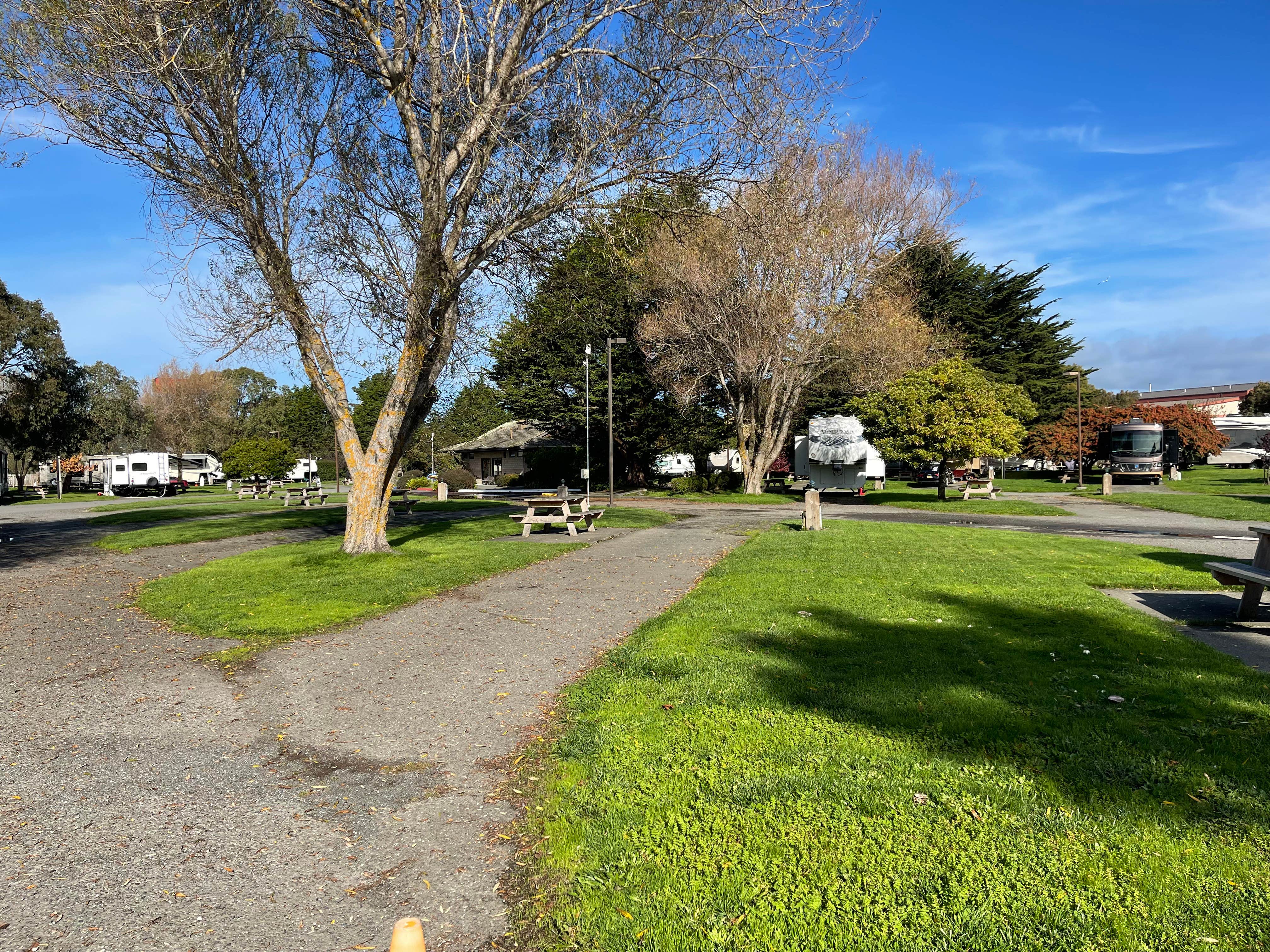 Camper-submitted photo at Mad River Rapids RV Park near Blue Lake, CA