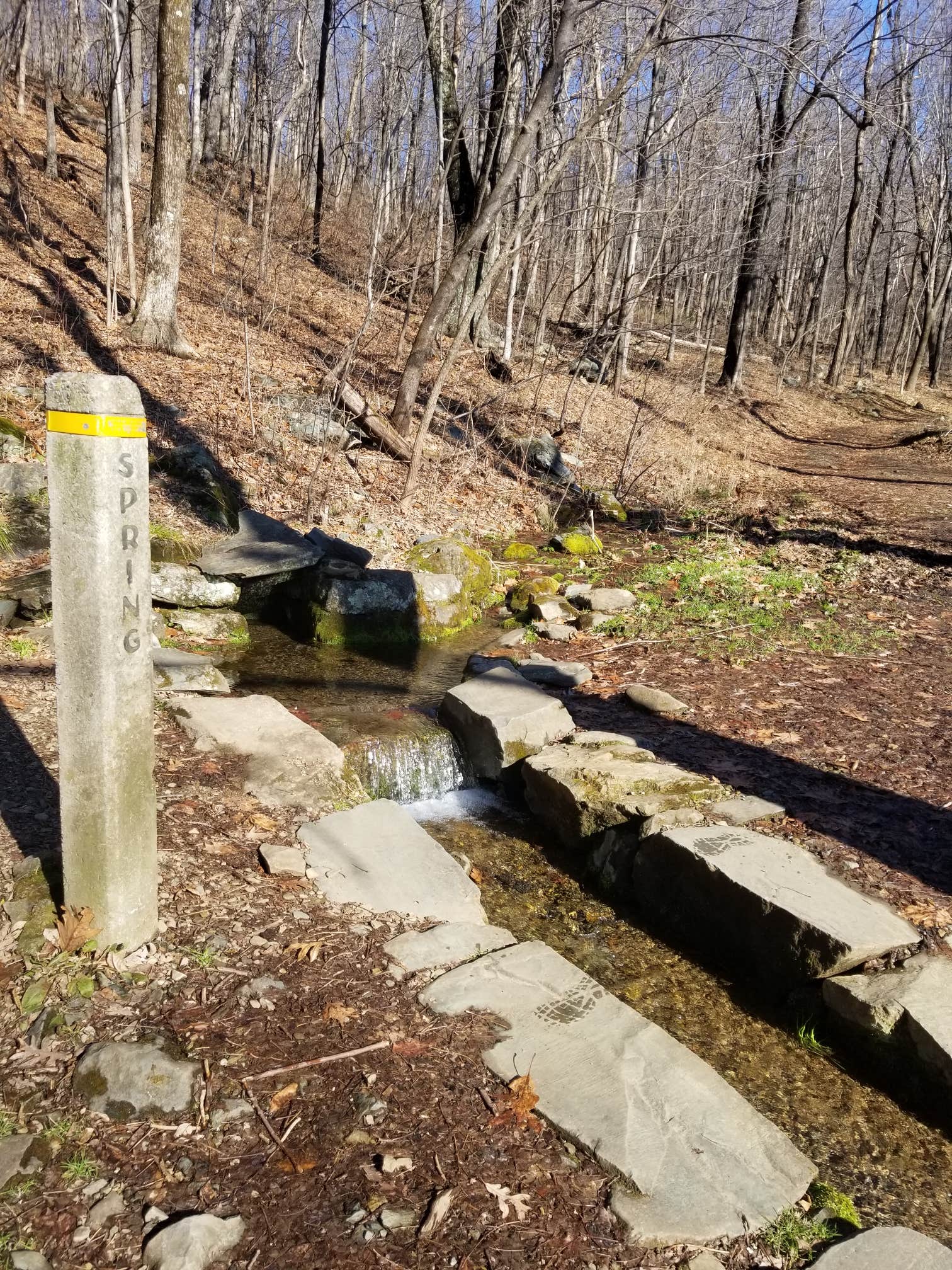 Camper-submitted photo at Gravel Springs Hut — Shenandoah National Park near Rippon, WV