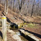 Review photo of Gravel Springs Hut — Shenandoah National Park by Mara F., November 28, 2018