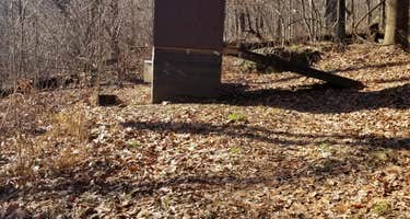 Gravel Springs Hut